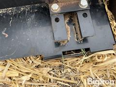 IMG_5015.jpeg