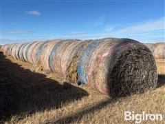 Unharvested 2023 Wheat Feed Crop Bales 