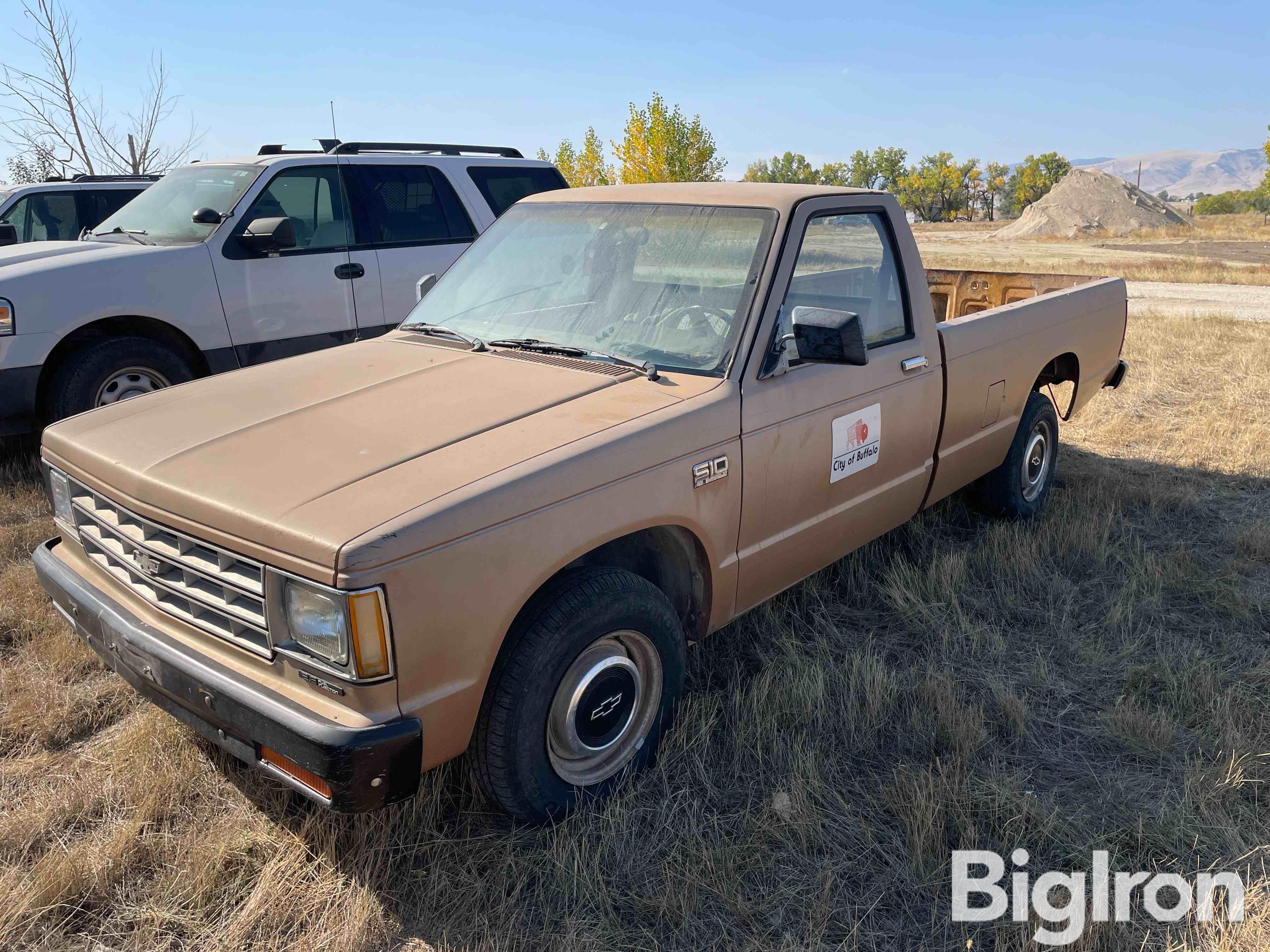 1987 Chevrolet S10 2WD Pickup 