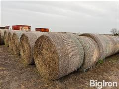 Oat Straw/Mixed Grass Hay 