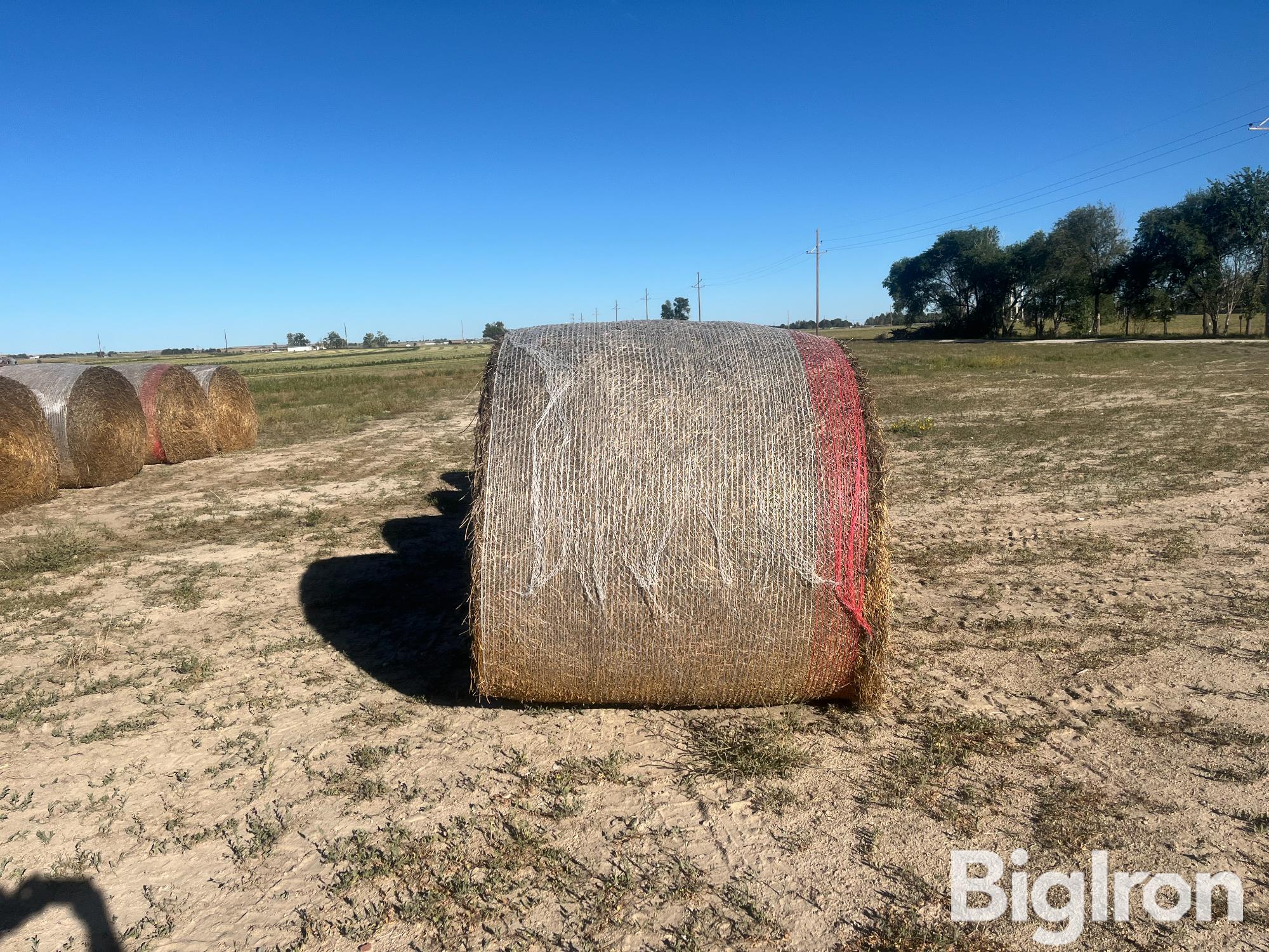 34) 3rd Cutting Alfalfa Bales (2023 Crop) (BID PER BALE) 