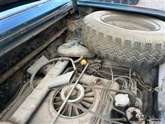 IMG_7150.jpeg