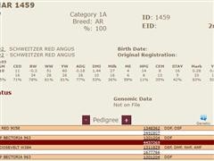 1459Pedigree.JPG