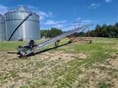 Hutchinson Paddle Grain Conveyor 