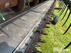 IMG_0643.jpeg