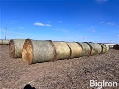 3rd Cutting Alfalfa Round Bales 