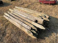 Treated Fence Posts 