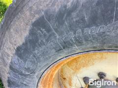 IMG_6249.jpeg