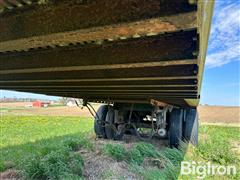 IMG_2173.jpeg