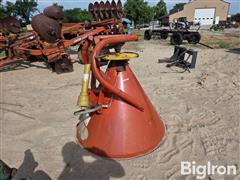 20250616_094259.jpg
