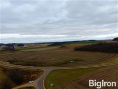 Tract #5: 36.65+/- Acres Dunn County, WI