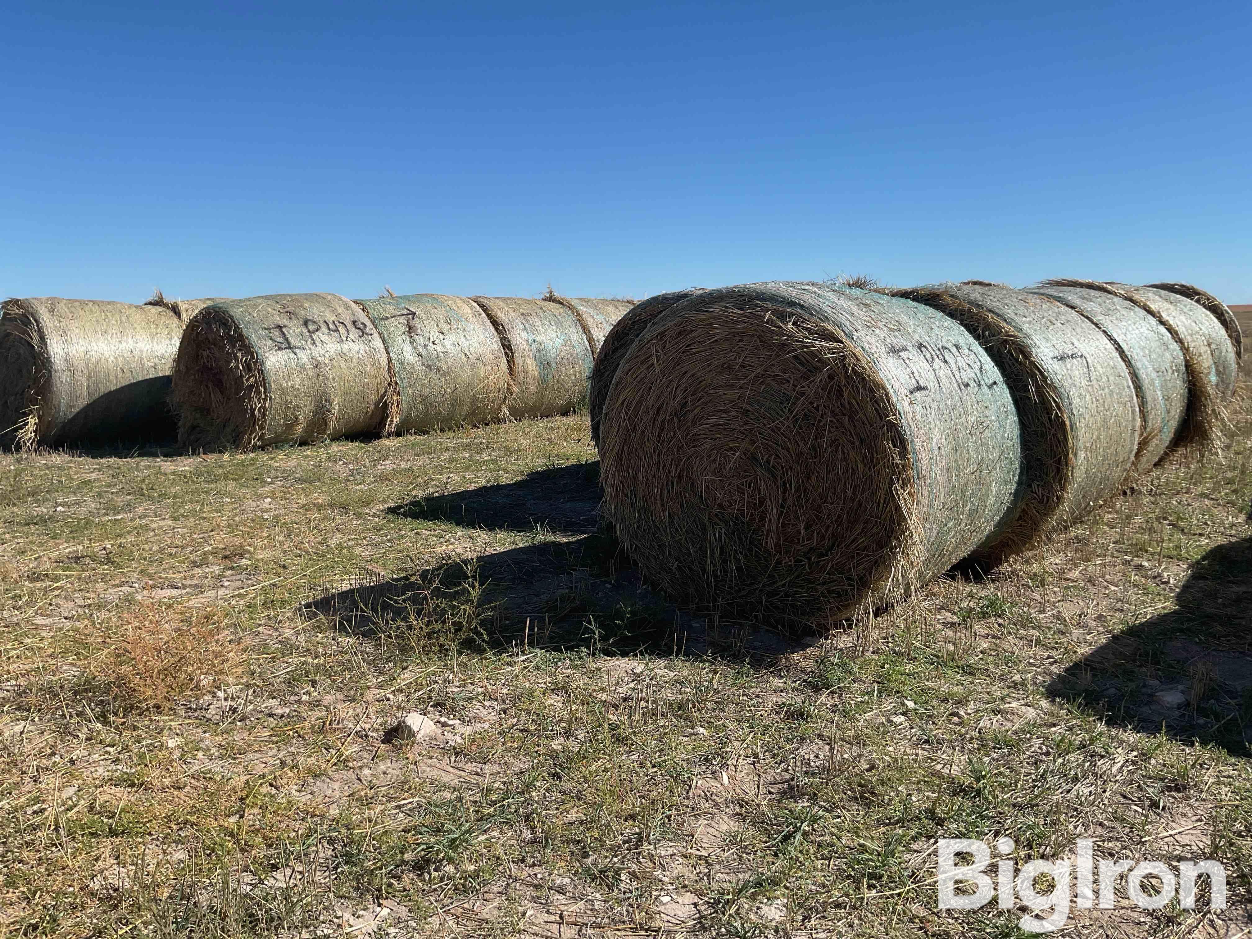 Round Hay Bales 