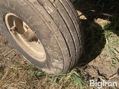 bdb6a5f001624bb4a73400eda3474a67.jpg