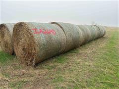 2023 Wheat/Crabgrass Hay 