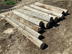 Large Fence Posts 