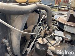 IMG_9894.jpeg