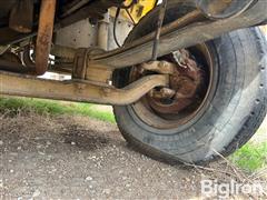 IMG_9900.jpeg