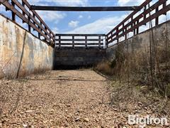 IMG_9911.jpeg