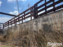IMG_9913.jpeg
