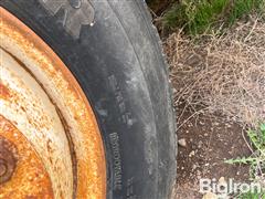 IMG_9875.jpeg