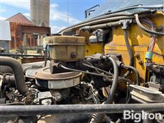 IMG_9893.jpeg