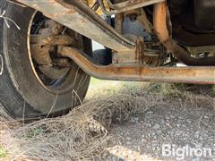 IMG_9901.jpeg