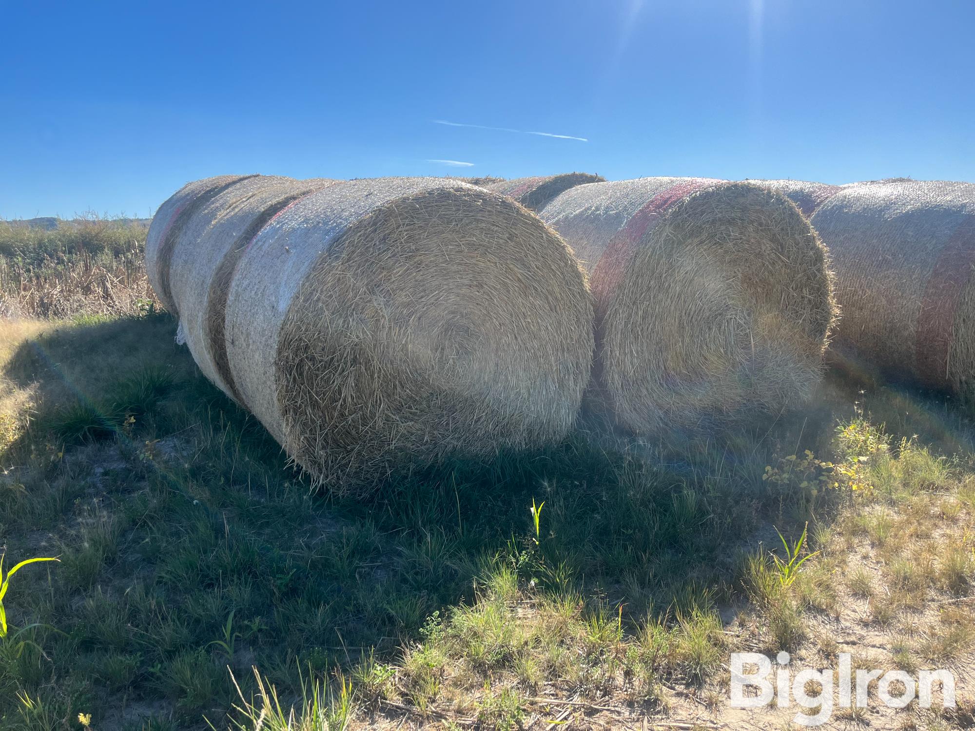 32) Barley Hay Bales (2024 Crop) (BID PER BALE) 