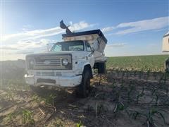 1979 Chevrolet C70 S/A Feed Mixer Truck 