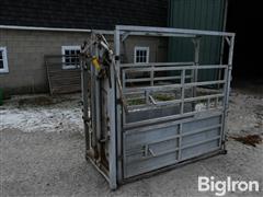 Livestock Chute 