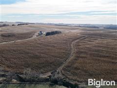 Tract  2: 76.65+/- Acres Cass County, NE