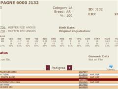 J132Pedigree.JPG