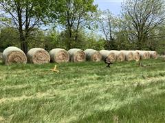 12-Mixed Grass Hay 5.5’x5.5’ Round Bales 