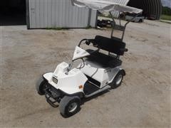 WheelsTo-Go 2x4 Golf Cart 