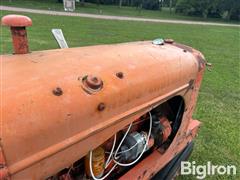 IMG_0795.JPG