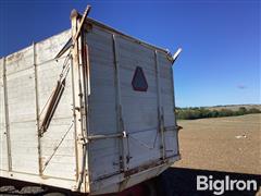 IMG_2895.jpeg