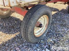 IMG_2915.jpeg