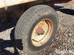 IMG_2911.jpeg