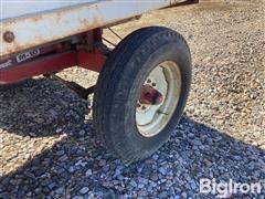 IMG_2917.jpeg