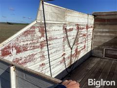 IMG_2925.jpeg