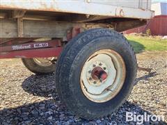 IMG_2905.jpeg