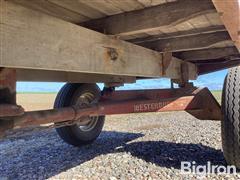 IMG_2921.jpeg