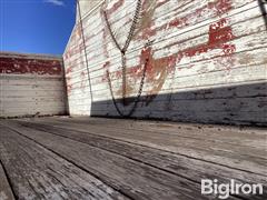IMG_2931.jpeg