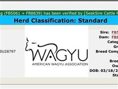 Reg Wagyu Bull Semen (BID PER UNIT) 