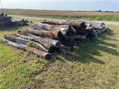 Hedge Fence Posts 