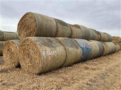 2023 Sorghum Sudangrass Round Hay Bales 