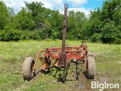 20250528_113459.jpg
