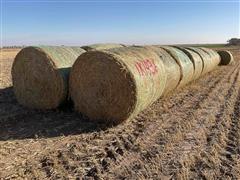 Millet (Forage) Hay Big Rounds 