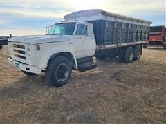 1977 Dodge D800 T/A Grain Truck 