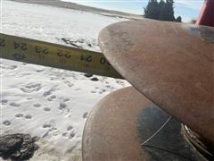 IMG_5878.jpeg