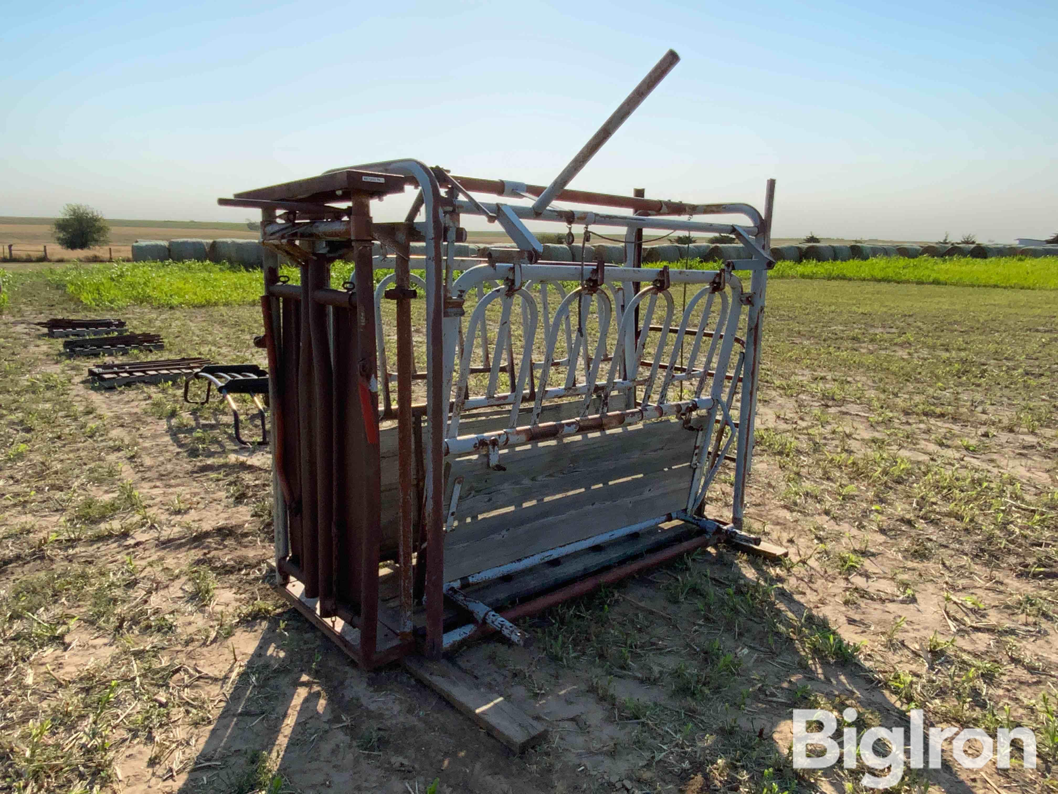 Filson Cattle Working Chute 